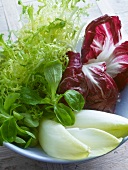 Salate, Frisée, Chicorée, Radic- chio u. Feldsalat, grün, rot