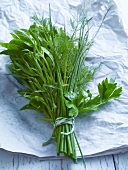 Salate, Kräuter: Petersilie, Sch nittlauch, Dill, Estragon, Basilikum