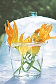Frische Zucchiniblüten in einer Vase als Tischdekoration