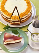 50 Torten, Aprikosencremetorte , Stück Mascarponecremetorte