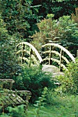 Brücke, mit Pelz aus Flechten, im Landschaftspark Chyverton