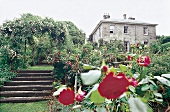 Trist House mit blühendem Garten, Truro, Cornwall
