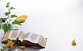 Pumpkin plant and flowers with old book on white background