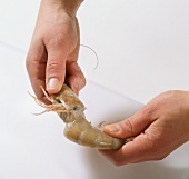 Shrimps, Step 1: Schwanzteil der Garnele abdrehen, am Kopf fassen