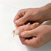 Close-up of hand removing shell of shrimp, step 3