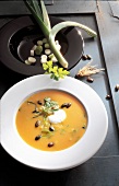 Kürbis und Zucchini, Kürbiscremesuppe mit Lauch und Kernen