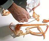 Shrimps, Mit Hummergabel Fleisch aus Beinen ziehen, Step 13