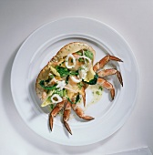Shrimps, Salat von Taschenkreb s und Kalmar, Romanesco, Chicorée