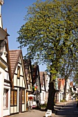 Häuserreihe mit Bäumen, Kopfsteinpflasterstraße, Fachwerkhäuser