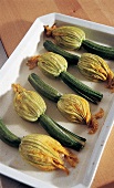 Kürbis und Zucchini, gefüllte Zucchiniblüten in Auflaufform