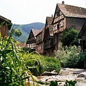 View of half-timbered houses in Alsace vineyards in Alsace, France