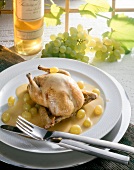 Dove in white wine-grape sauce on plate