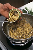 GuU- Muscheln, gefüllte Zucchini Step 6: runde Zucchini füllen