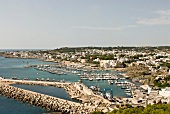Elevated view of coastal town, harbour, yachts, and houses in Italy
