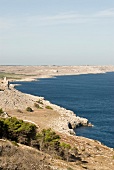 Blick von oben über Felsenküste und das blaue Meer in Italien.