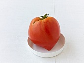 eine rote Tomate, Sorte Venus 