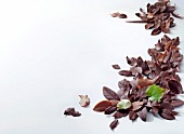 Variety of chocolate leaves on white background