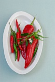 Red and green chilli peppers on plate, overhead view