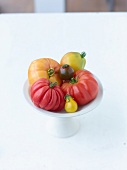 weiße Schale mit unterschiedlichen Tomatensorten