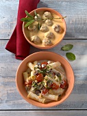 Penne with feta sauce, sage and cheese sauce in bowls 