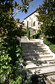 View of steps and greenery at Hotel Villa Florentine in Lyon, France