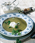Suppen, Brunnenkresse-Cremesup pe mit Sahnehaube, grün