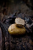 Close-up of white truffle on dark wood