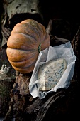 Pumpkin and piece of gorgonzola wrapped in paper