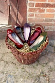 Five various red, purple and green ballerina shoes in straw basket