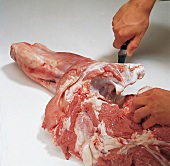 Fleisch, Schulter auslösen: Fleisch vom Knochen lösen, Step 8