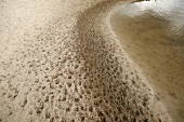 Spuren im Sand, Lüneburger Heide