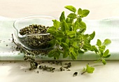 Fresh and dried marjoram in glass bowl