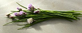 Kräuter und Gewürze, frischer Schnittlauch, Blüten lila