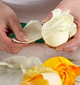 Rose petals being plucked, step 1