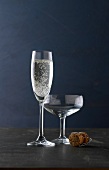 Mixschule, 2 Gläser: Langes Sektglas, Champagnerkelch