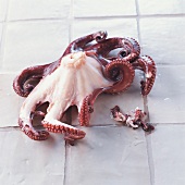 TBN Seafood - Seafood Gazpacho Step 2: Haut abziehen