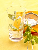 Sommerdrinks, Minze mit Puder- zucker bestreut im Longdrinkglas