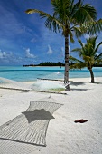 Hammock tied to tree on beach in Veligandu Huraa Island, Maldives