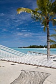 Hammock tied to a palm tree in Veligandu Island resort, Maldives