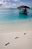 Traditionelles Boot Dhoni Malediven, Insel Velighandu Huraa