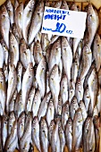 Frischer Fisch, Fischmarkt in Sultanahmet