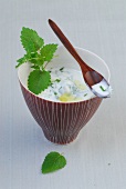 Yoghurt with herb dressing and mint in bowl