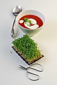 Tomato soup with cream and nasturtiums in bowl