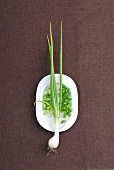 Spring onion on plate