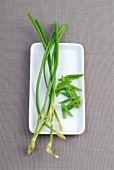 Garlic chives on plate