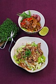 Stir-fry beef with peppers in bowl and beef with peanuts in serving dish