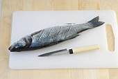 Wok, Zitronengras-Wolfsbarsch: Fisch schräg einschneiden, Step 1