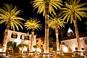 Illuminated palm tees in Hotel Vila Baleira Resort, Porto Santo island, Madiera, Portugal