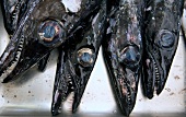 Close-up of expensive deep sea black scabbard, Madeira