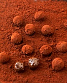 Cinnamon truffles in cocoa powder